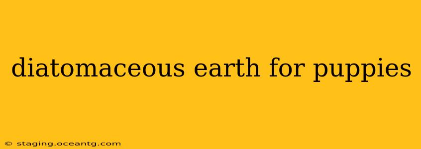 diatomaceous earth for puppies