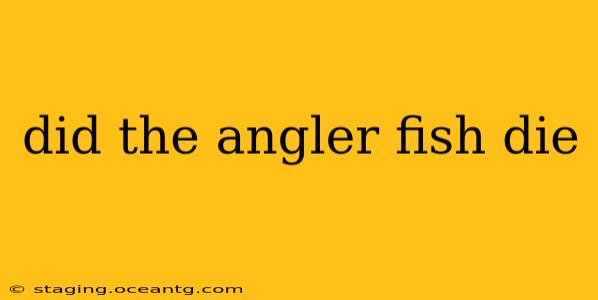 did the angler fish die