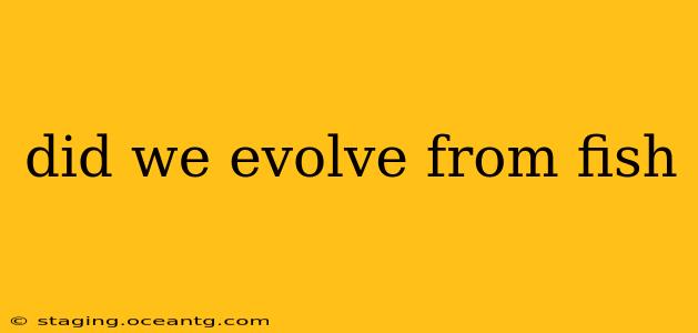 did we evolve from fish
