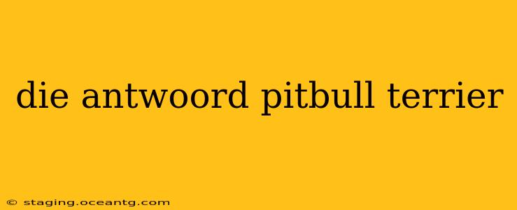 die antwoord pitbull terrier