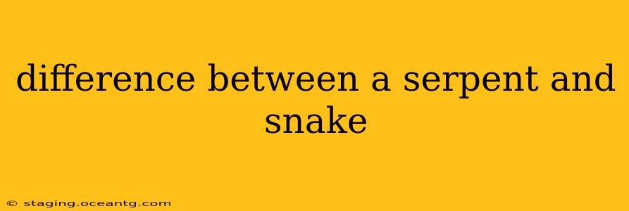 difference between a serpent and snake