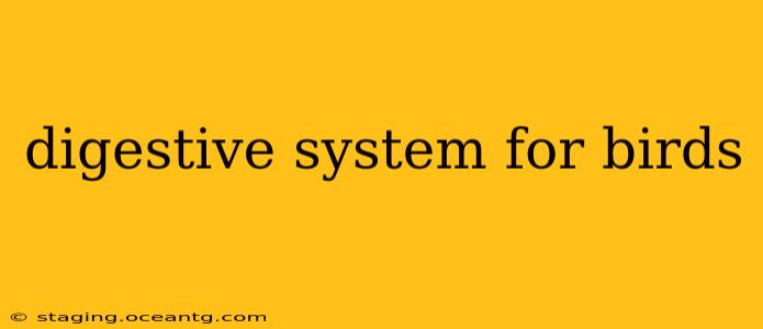 digestive system for birds