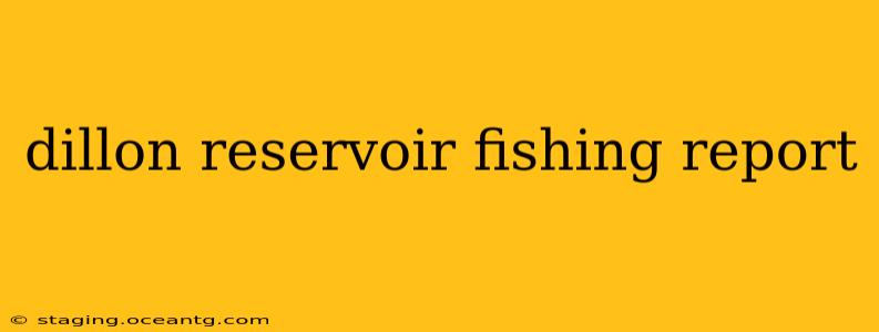 dillon reservoir fishing report