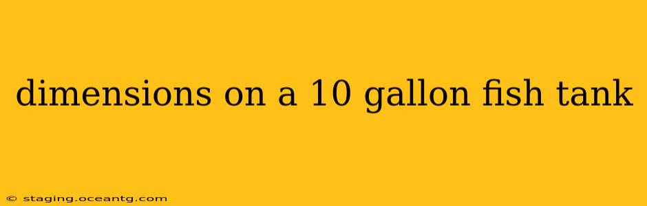 dimensions on a 10 gallon fish tank
