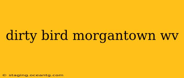 dirty bird morgantown wv