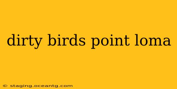dirty birds point loma
