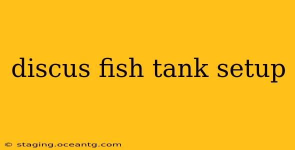 discus fish tank setup