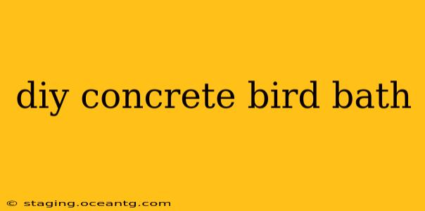 diy concrete bird bath