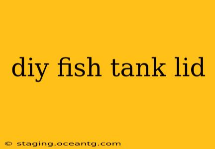 diy fish tank lid
