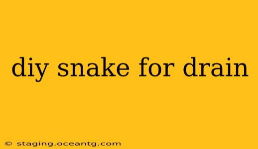 diy snake for drain