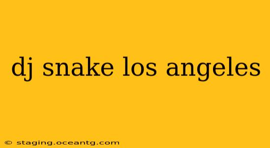 dj snake los angeles