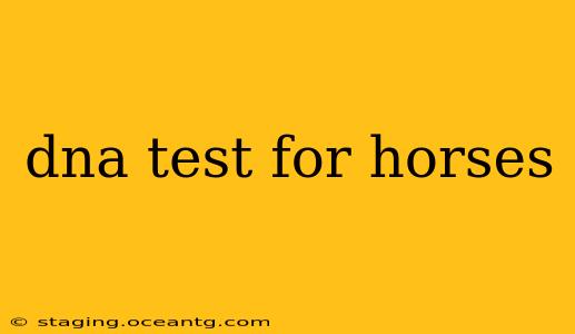 dna test for horses