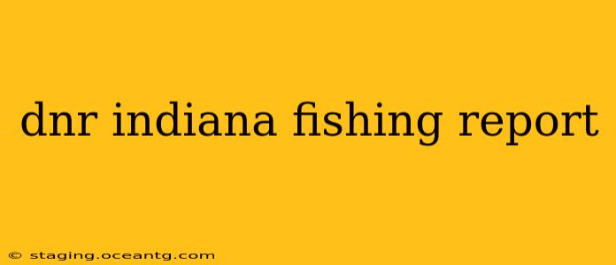 dnr indiana fishing report