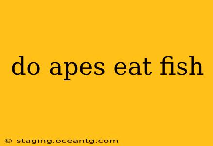 do apes eat fish