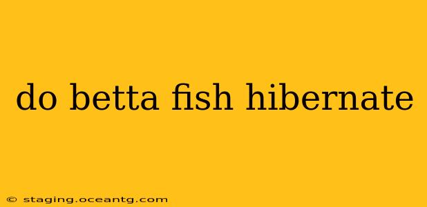 do betta fish hibernate