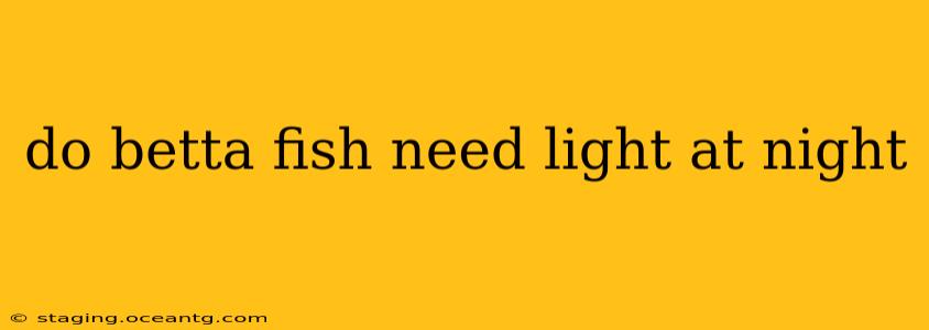do betta fish need light at night