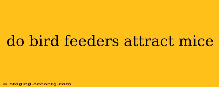 do bird feeders attract mice