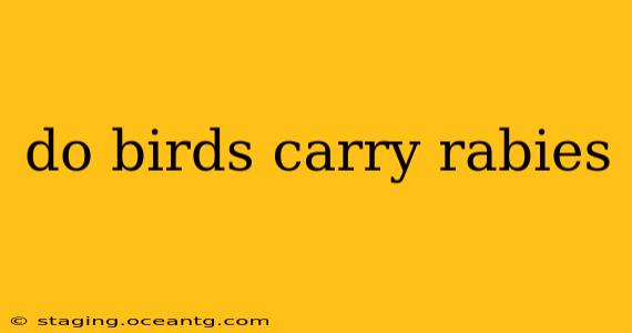 do birds carry rabies