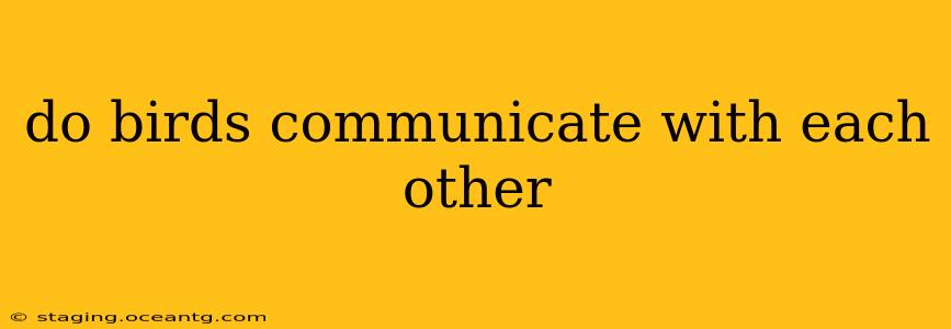 do birds communicate with each other