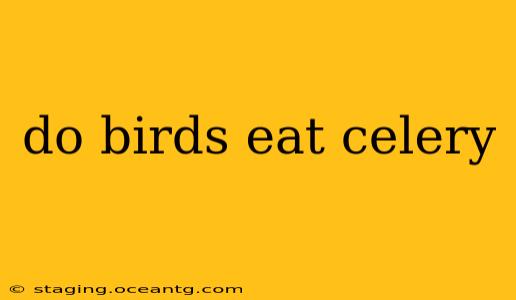 do birds eat celery