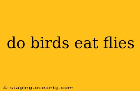 do birds eat flies