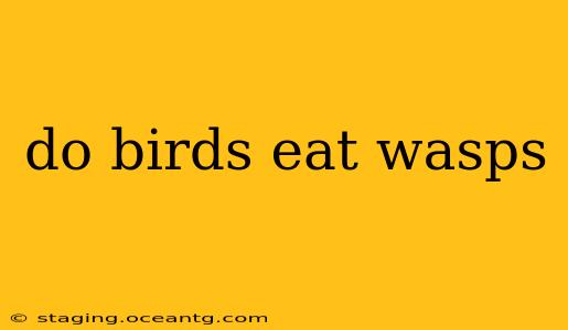 do birds eat wasps