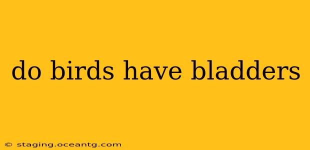 do birds have bladders