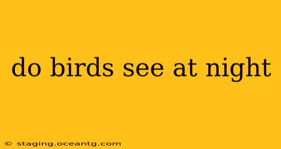 do birds see at night