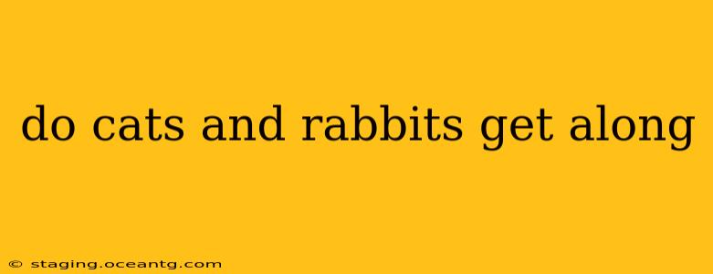 do cats and rabbits get along