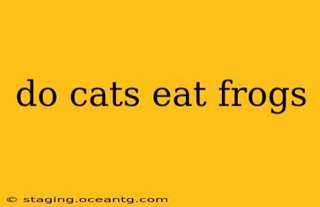 do cats eat frogs