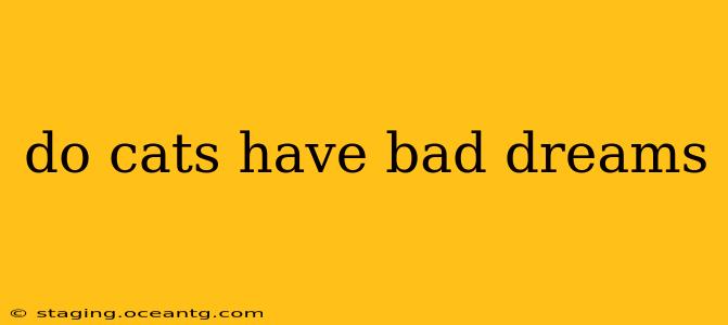 do cats have bad dreams