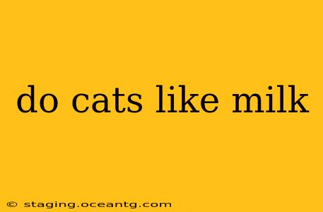 do cats like milk