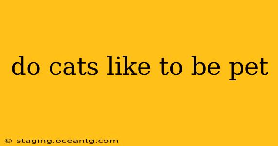 do cats like to be pet