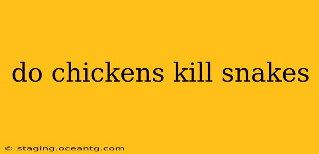 do chickens kill snakes