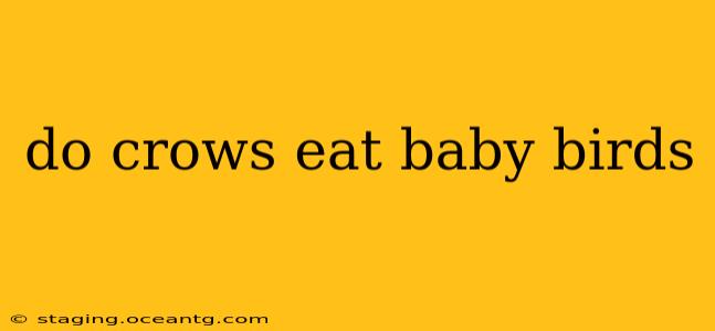do crows eat baby birds