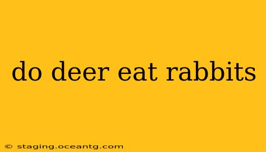 do deer eat rabbits