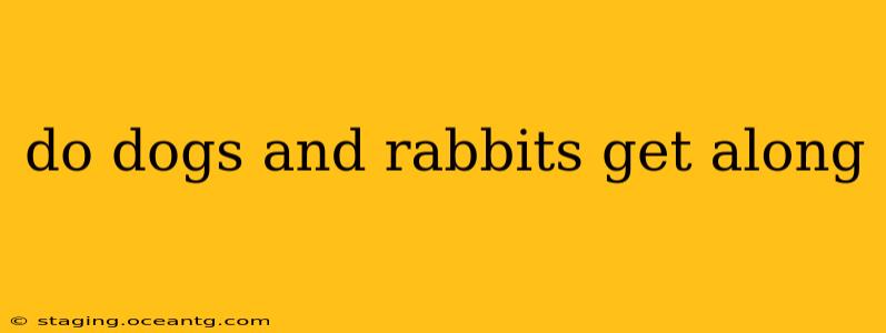 do dogs and rabbits get along