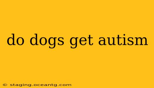 do dogs get autism