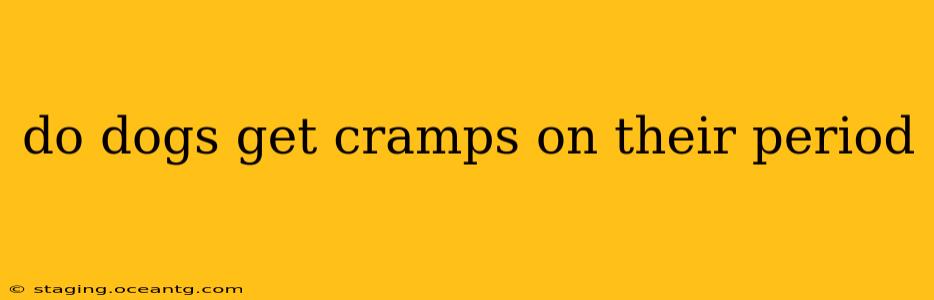 do dogs get cramps on their period