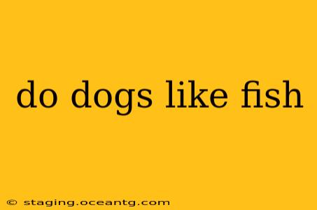 do dogs like fish