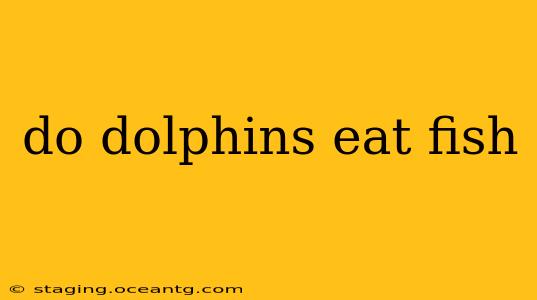 do dolphins eat fish