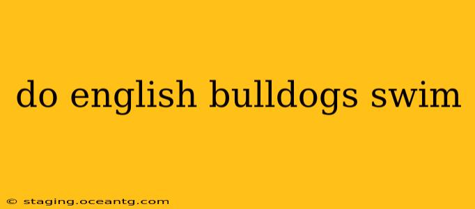 do english bulldogs swim