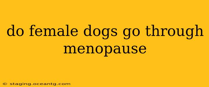 do female dogs go through menopause