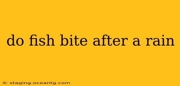 do fish bite after a rain
