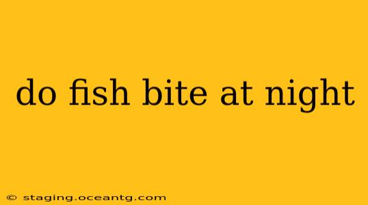 do fish bite at night