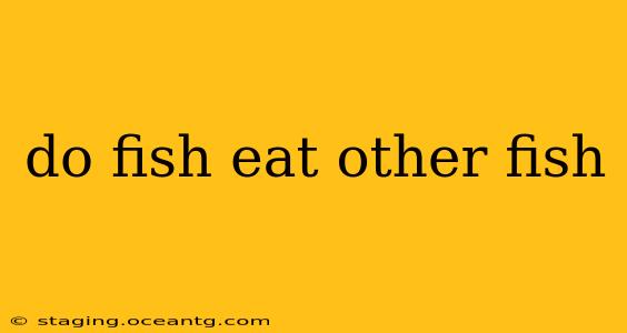 do fish eat other fish