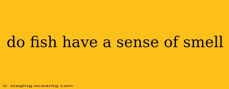do fish have a sense of smell
