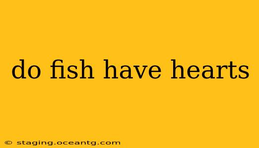 do fish have hearts