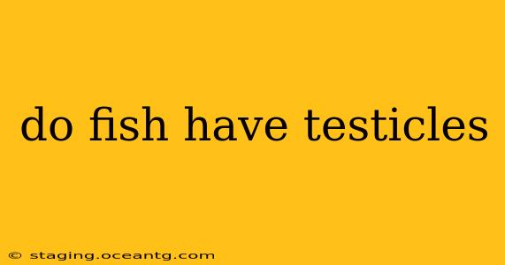 do fish have testicles