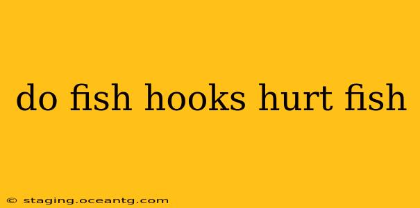 do fish hooks hurt fish